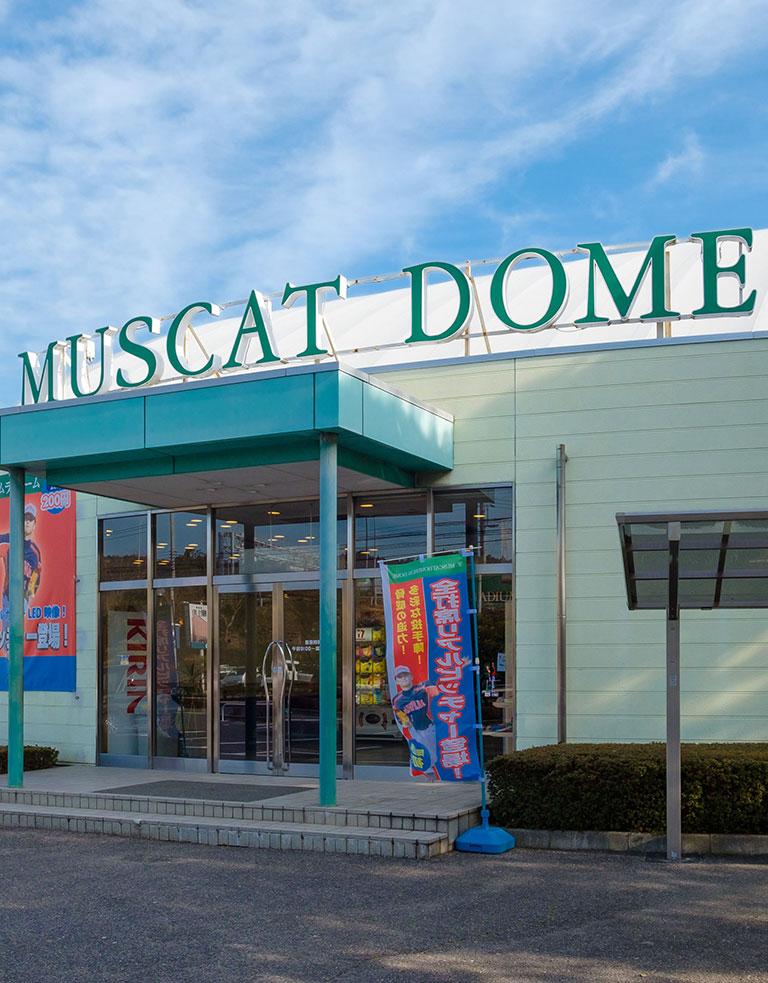 MUSCAT HOMERUN DOME